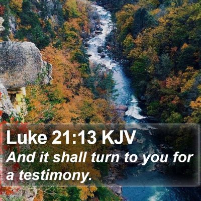 Luke 21:13 KJV Bible Verse Image