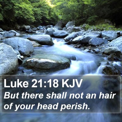 Luke 21:18 KJV Bible Verse Image