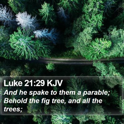 Luke 21:29 KJV Bible Verse Image