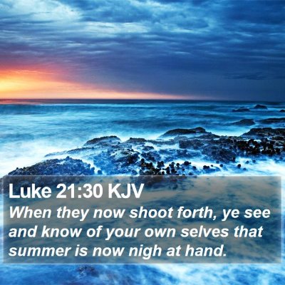 Luke 21:30 KJV Bible Verse Image
