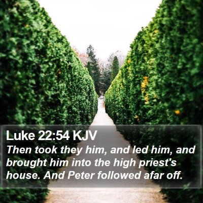 Luke 22:54 KJV Bible Verse Image