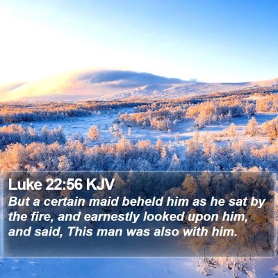 Luke 22:56 KJV Bible Verse Image