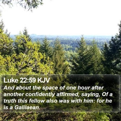Luke 22:59 KJV Bible Verse Image