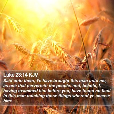 Luke 23:14 KJV Bible Verse Image