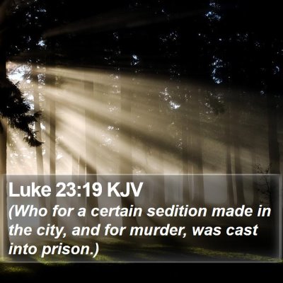 Luke 23:19 KJV Bible Verse Image