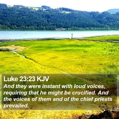 Luke 23:23 KJV Bible Verse Image