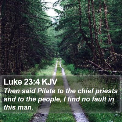 Luke 23:4 KJV Bible Verse Image