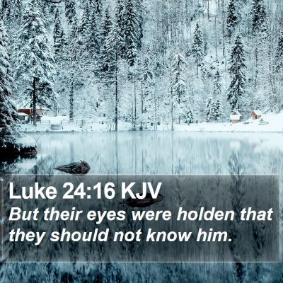 Luke 24:16 KJV Bible Verse Image