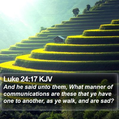 Luke 24:17 KJV Bible Verse Image