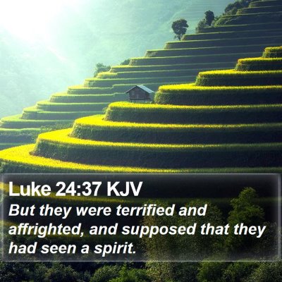 Luke 24:37 KJV Bible Verse Image