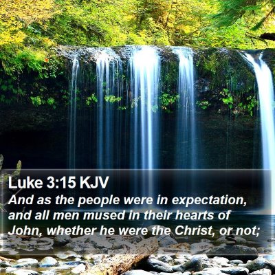 Luke 3:15 KJV Bible Verse Image