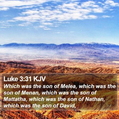Luke 3:31 KJV Bible Verse Image