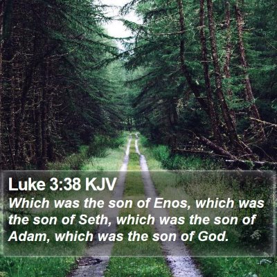 Luke 3:38 KJV Bible Verse Image