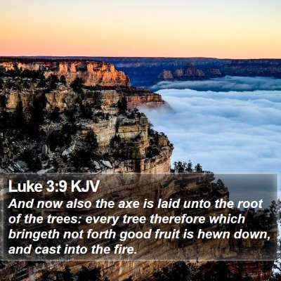 Luke 3:9 KJV Bible Verse Image