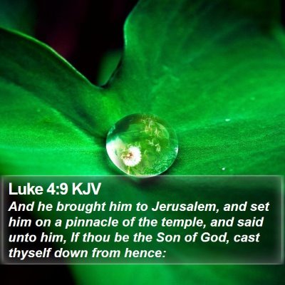 Luke 4:9 KJV Bible Verse Image
