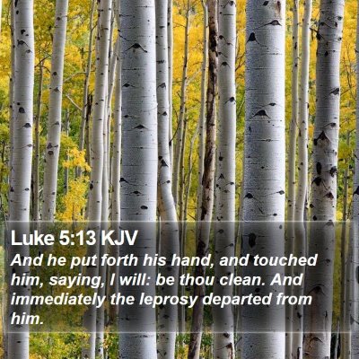 Luke 5:13 KJV Bible Verse Image