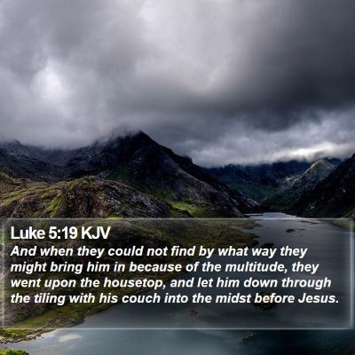Luke 5:19 KJV Bible Verse Image