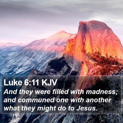 Luke 6:11 KJV Bible Verse Image