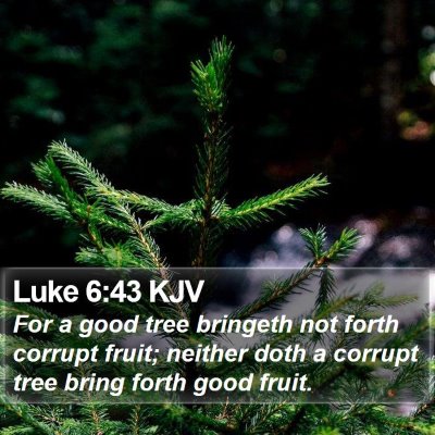 Luke 6:43 KJV Bible Verse Image