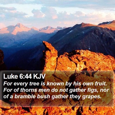 Luke 6:44 KJV Bible Verse Image
