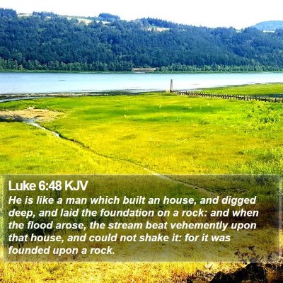 Luke 6:48 KJV Bible Verse Image