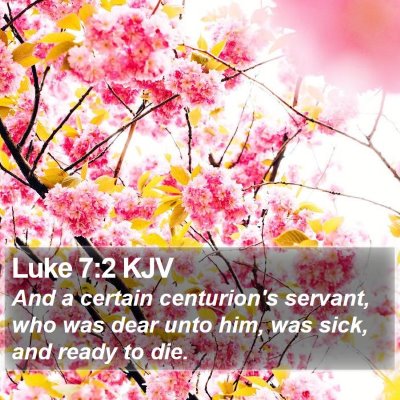 Luke 7:2 KJV Bible Verse Image