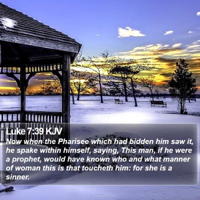 Luke 7:39 KJV Bible Verse Image