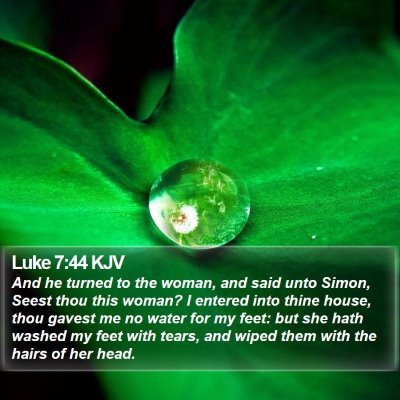 Luke 7:44 KJV Bible Verse Image