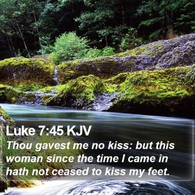 Luke 7:45 KJV Bible Verse Image