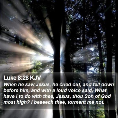Luke 8:28 KJV Bible Verse Image