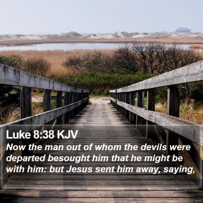 Luke 8:38 KJV Bible Verse Image
