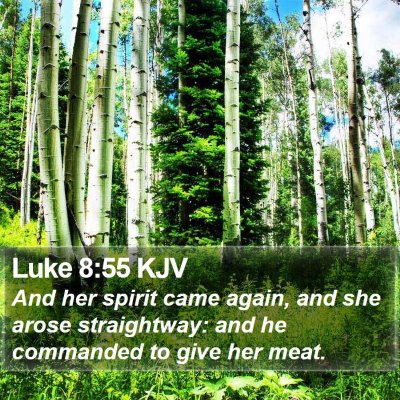 Luke 8:55 KJV Bible Verse Image