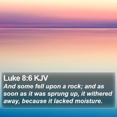 Luke 8:6 KJV Bible Verse Image