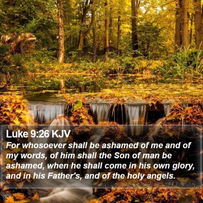Luke 9:26 KJV Bible Verse Image
