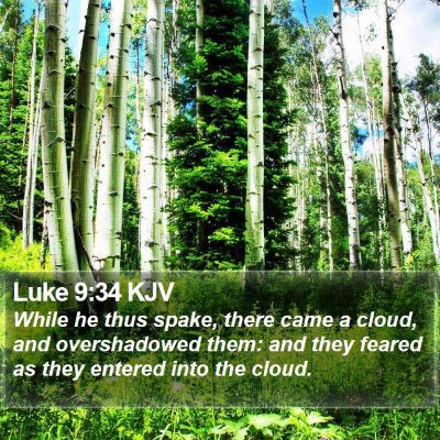Luke 9:34 KJV Bible Verse Image