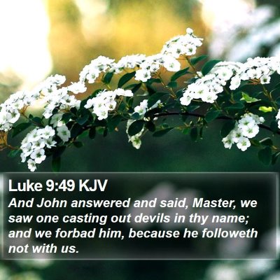 Luke 9:49 KJV Bible Verse Image