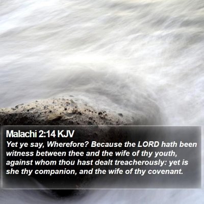 Malachi 2:14 KJV Bible Verse Image