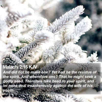 Malachi 2:15 KJV Bible Verse Image