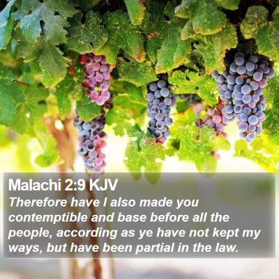 Malachi 2:9 KJV Bible Verse Image