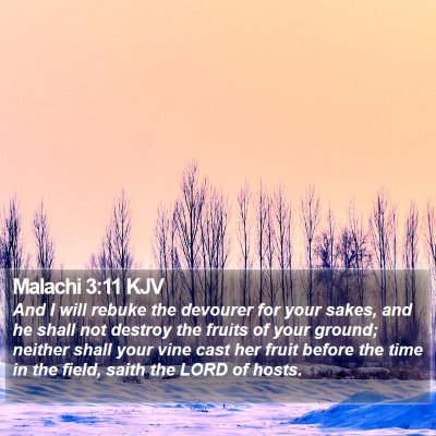 Malachi 3:11 KJV Bible Verse Image