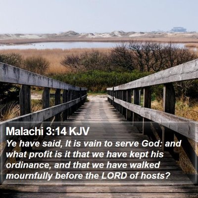 Malachi 3:14 KJV Bible Verse Image