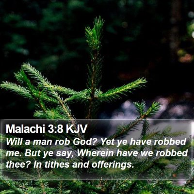 Malachi 3:8 KJV Bible Verse Image