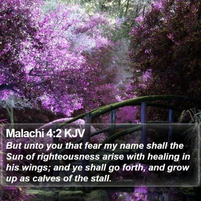 Malachi 4:2 KJV Bible Verse Image