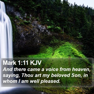 Mark 1:11 KJV Bible Verse Image
