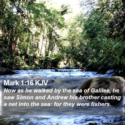 Mark 1:16 KJV Bible Verse Image