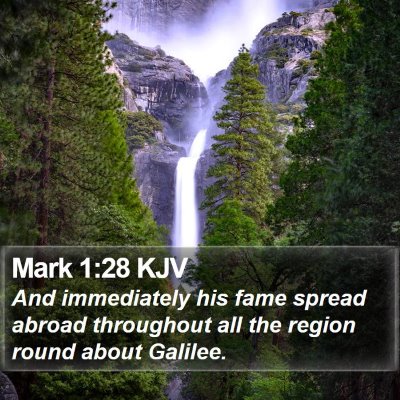 Mark 1:28 KJV Bible Verse Image