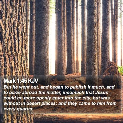 Mark 1:45 KJV Bible Verse Image
