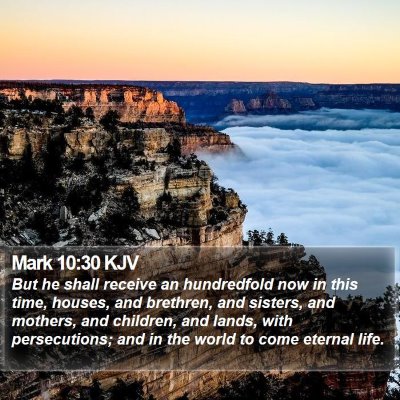 Mark 10:30 KJV Bible Verse Image