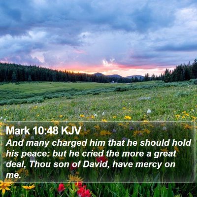 Mark 10:48 KJV Bible Verse Image