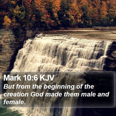 Mark 10:6 KJV Bible Verse Image